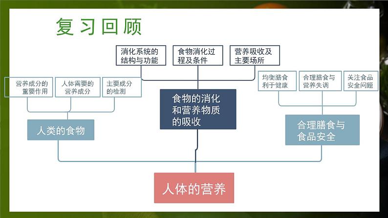 北师大版（2024）生物七年级下册--第6章 人体的营养 章末复习（课件）第2页