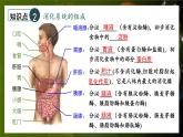 北師大版（2024）生物七年級(jí)下冊(cè)--第6章 人體的營(yíng)養(yǎng) 章末復(fù)習(xí)（課件）