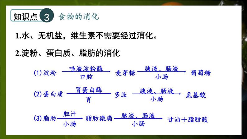 北师大版（2024）生物七年级下册--第6章 人体的营养 章末复习（课件）第7页