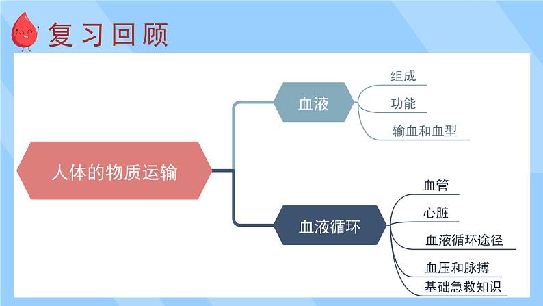 北师大版（2024）生物七年级下册--第7章 人体的物质运输 章末复习（课件）第2页