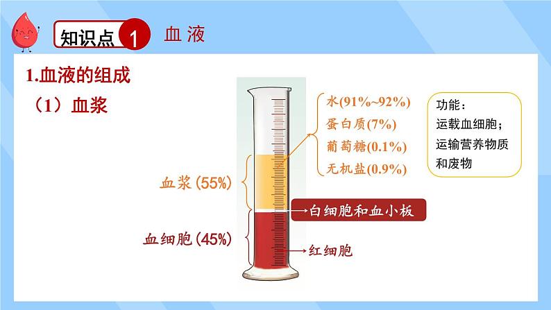 北师大版（2024）生物七年级下册--第7章 人体的物质运输 章末复习（课件）第3页