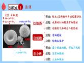 北師大版（2024）生物七年級(jí)下冊(cè)--第7章 人體的物質(zhì)運(yùn)輸 章末復(fù)習(xí)（課件）