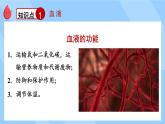 北師大版（2024）生物七年級(jí)下冊(cè)--第7章 人體的物質(zhì)運(yùn)輸 章末復(fù)習(xí)（課件）