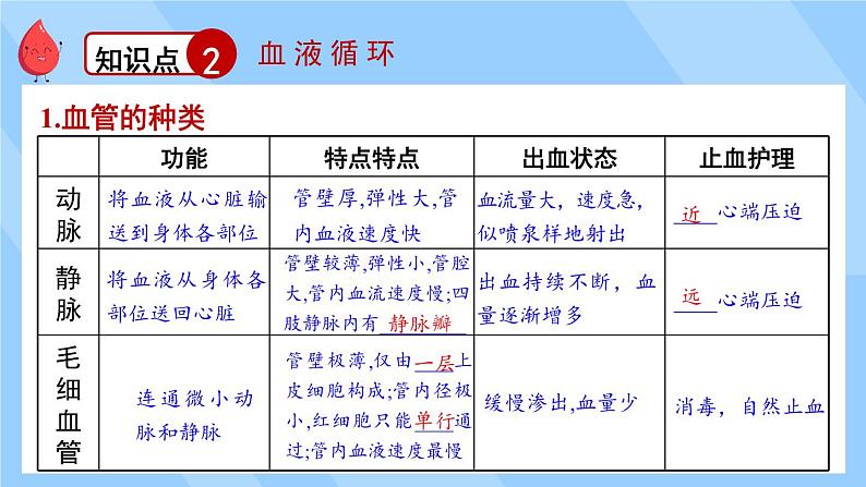 北师大版（2024）生物七年级下册--第7章 人体的物质运输 章末复习（课件）第8页