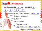 北師大版（2024）生物七年級(jí)下冊(cè)--第8章 人體的能量供應(yīng) 章末復(fù)習(xí)（課件）