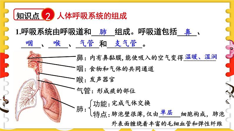 北师大版（2024）生物七年级下册--第8章 人体的能量供应 章末复习（课件）第4页