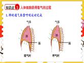 北師大版（2024）生物七年級(jí)下冊(cè)--第8章 人體的能量供應(yīng) 章末復(fù)習(xí)（課件）