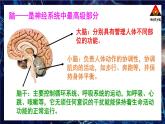 北师大版（2024）生物七年级下册--第10章 人体的自我调节 本章小结（课件）