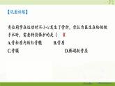 北師大版（2024）生物七年級下冊--第11章 人體的運動 本章小結(jié)（課件）