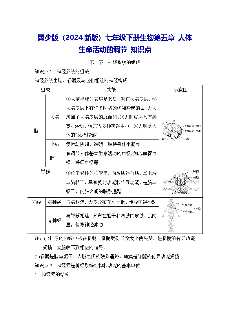 冀少版（2024新版）七年级下册生物第五章 人体生命活动的调节 知识点第1页
