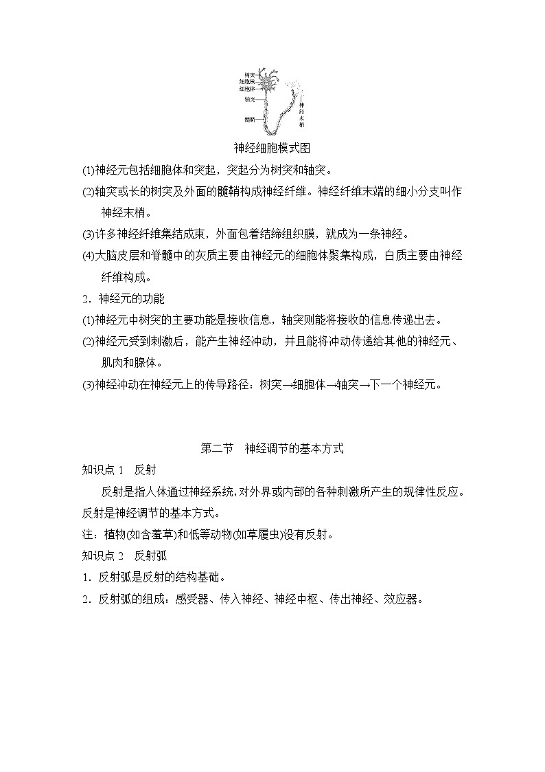 冀少版（2024新版）七年级下册生物第五章 人体生命活动的调节 知识点第2页