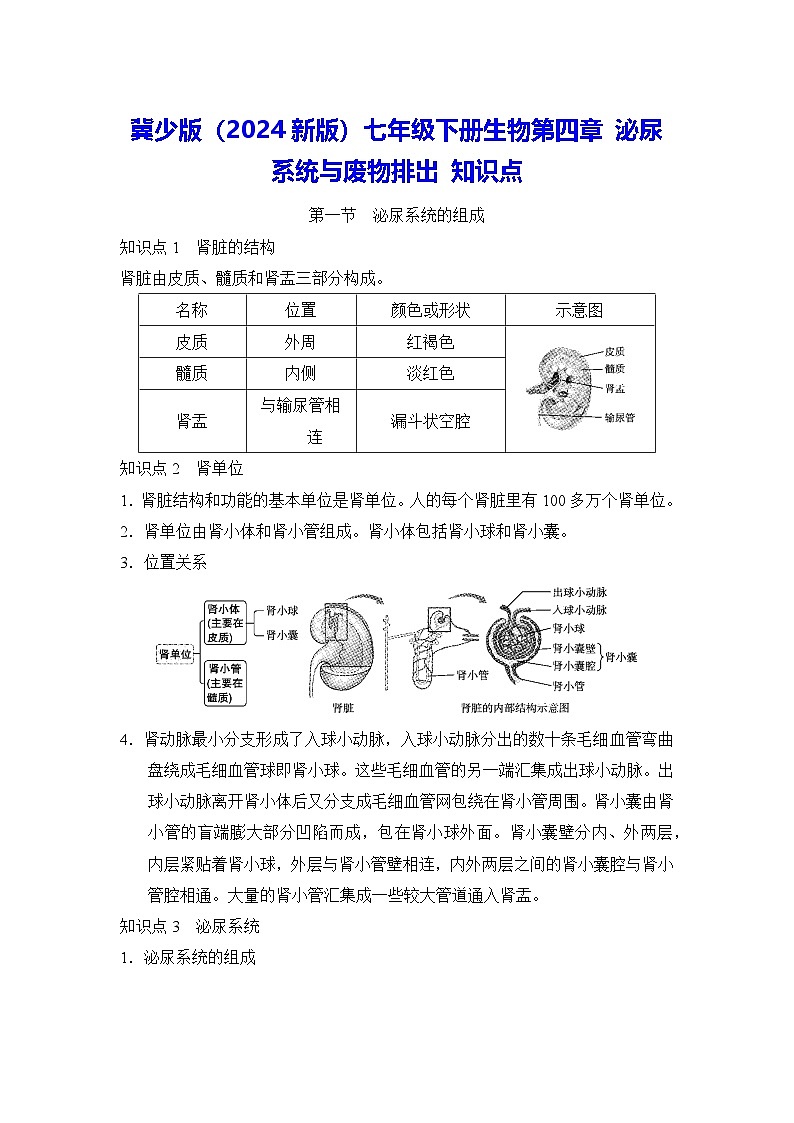 冀少版（2024新版）七年级下册生物第四章 泌尿系统与废物排出 知识点第1页