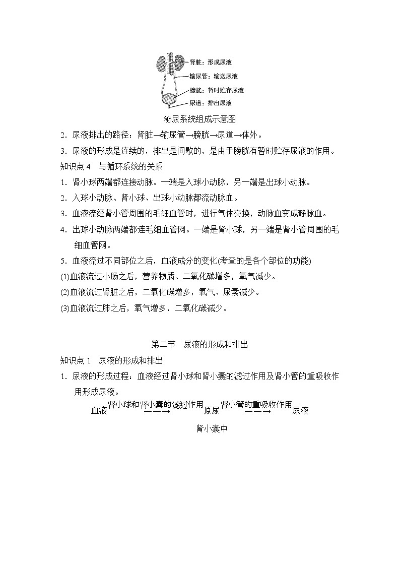 冀少版（2024新版）七年级下册生物第四章 泌尿系统与废物排出 知识点第2页