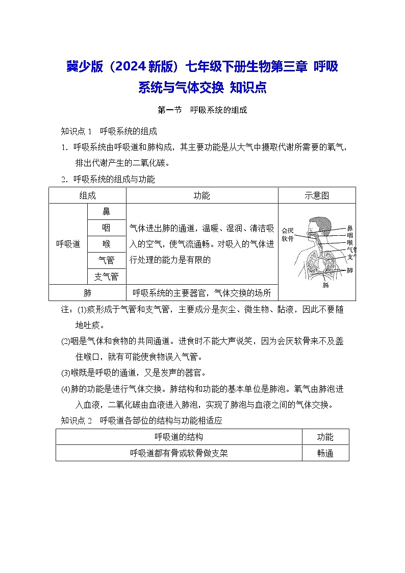 冀少版（2024新版）七年级下册生物第三章 呼吸系统与气体交换 知识点第1页