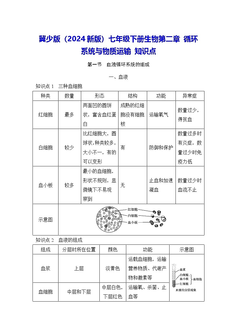 冀少版（2024新版）七年级下册生物第二章 循环系统与物质运输 知识点第1页