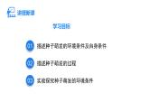 人教版（2024）生物七年级下册--3.1.1 种子的萌发（课件）