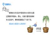 人教版（2024）生物七年级下册--3.2.2 光合作用 第1课时 光合作用的相关实验探索（课件）
