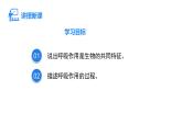 人教版（2024）生物七年级下册--3.2.3 呼吸作用（课件）