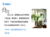 人教版（2024）生物七年级下册--3.2.3 呼吸作用（课件）