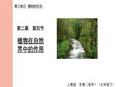 人教版（2024）生物七年级下册--3.2.4 植物在自然界中的作用（课件）