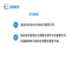 人教版（2024）生物七年级下册--3.2.4 植物在自然界中的作用（课件）