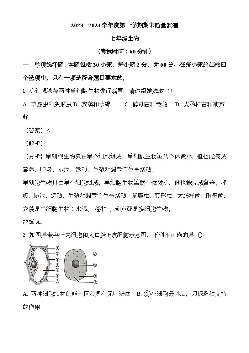 广东省茂名市电白区2023-2024学年七年级上学期期末 生物试题（含解析）第1页