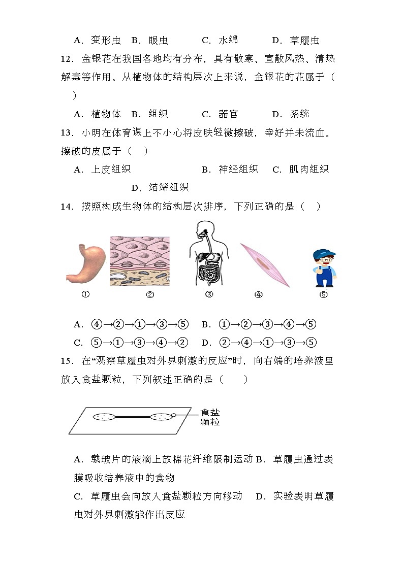 河北省保定市2023-2024学年七年级上学期期末 生物试题（含解析）第3页