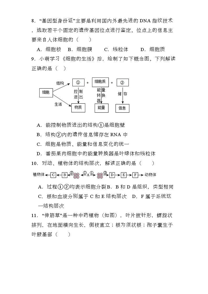 河南省濮阳市2023-2024学年七年级上学期期末 生物试题（含解析）第3页