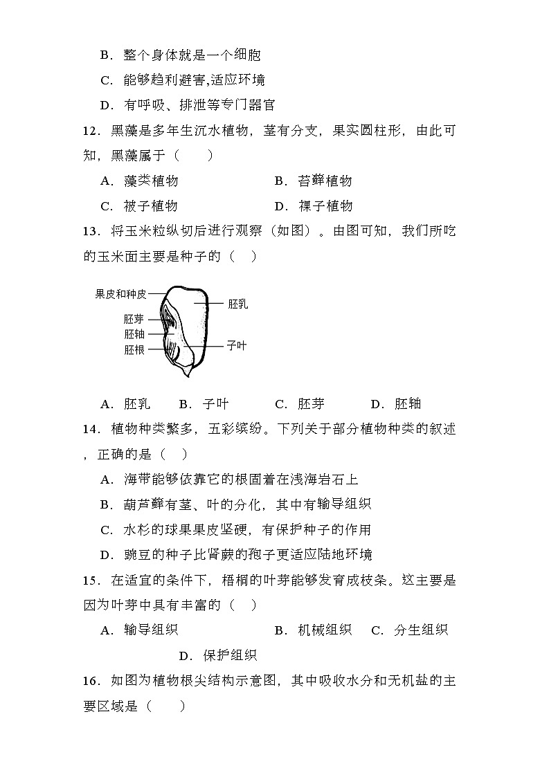 河南省郑州市多校联考2023-2024学年七年级上学期期末 生物学试题（含解析）第3页