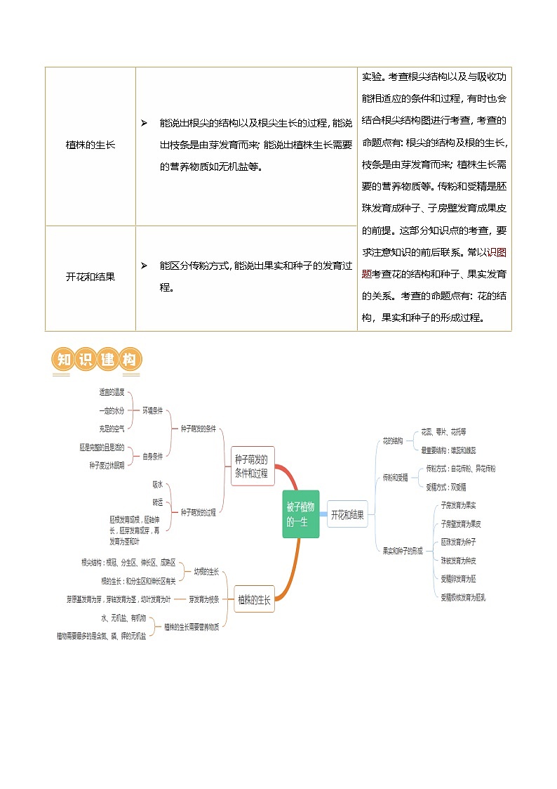 中考生物第一轮复习专题练习专题05 被子植物的一生（讲义）（解析版）第2页