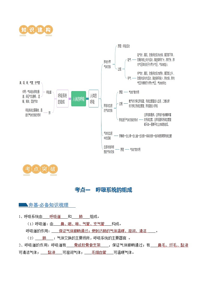 中考生物第一轮复习专题练习专题11 人体的呼吸（讲义）（解析版）第2页