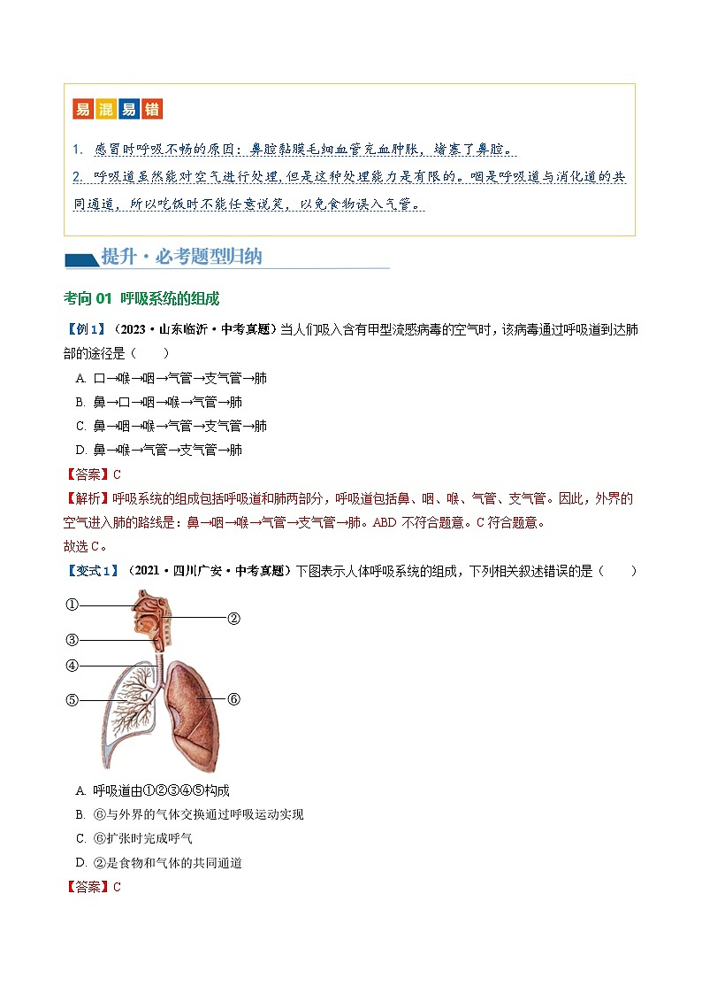 中考生物第一轮复习专题练习专题11 人体的呼吸（讲义）（解析版）第3页
