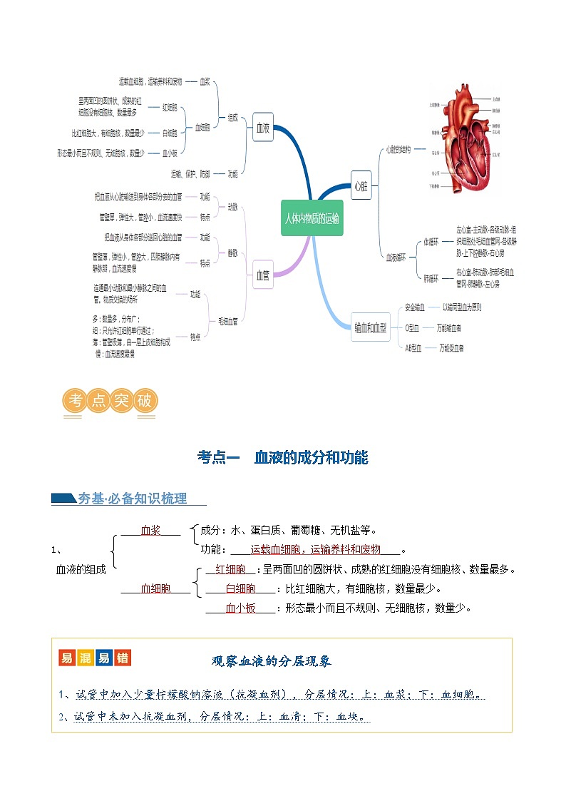 中考生物第一轮复习专题练习专题12 人体内物质的运输（讲义）（解析版）第3页