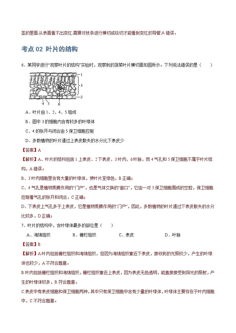 中考生物第一轮复习专题练习专题06 绿色植物与生物圈的水循环（练习）（解析版）第3页