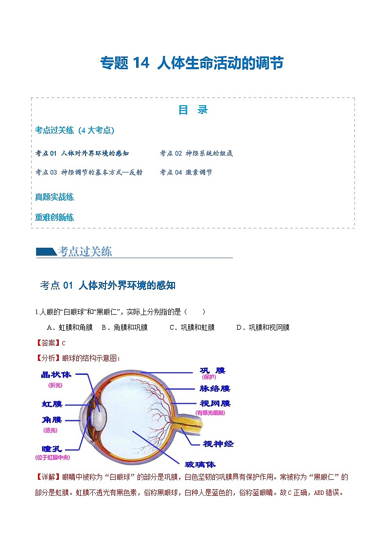 中考生物第一轮复习专题练习专题14 人体生命活动的调节（练习）（解析版）第1页