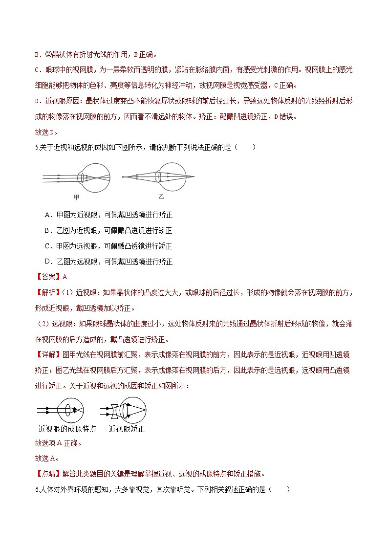 中考生物第一轮复习专题练习专题14 人体生命活动的调节（练习）（解析版）第3页