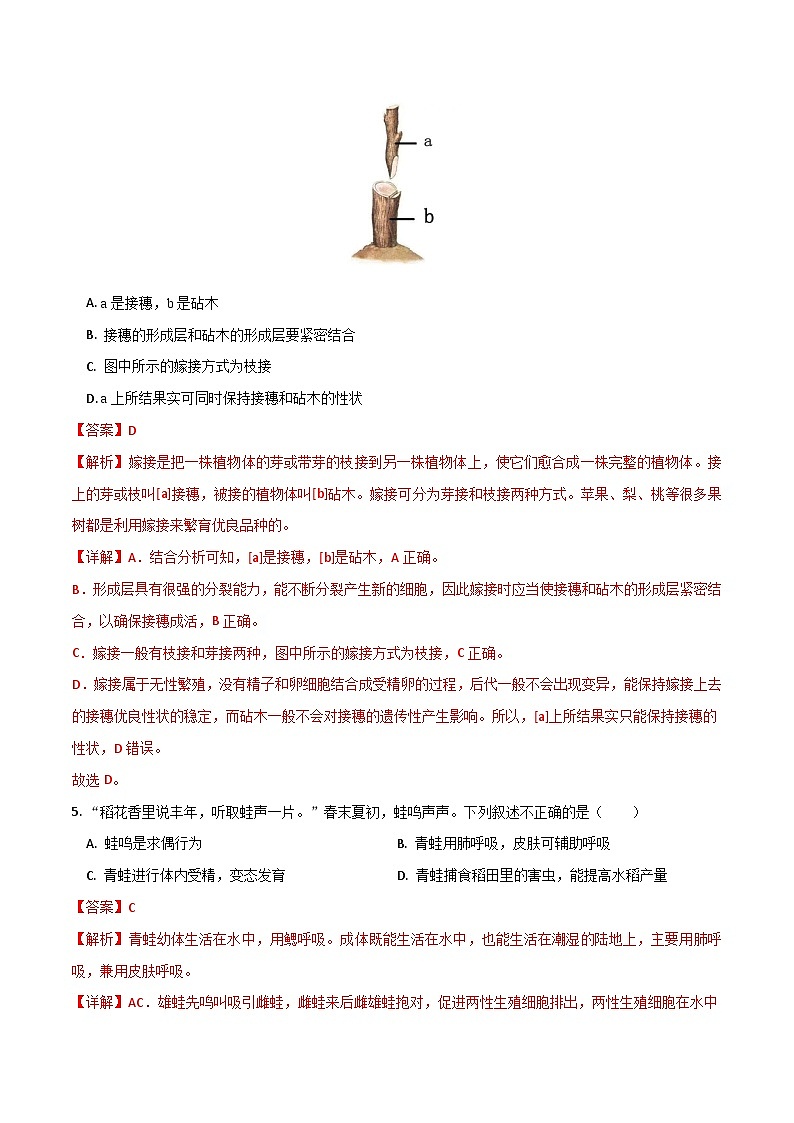 中考生物第一轮复习专题练习模块六 生物圈中生命的延续和发展（测试）（解析版）第2页