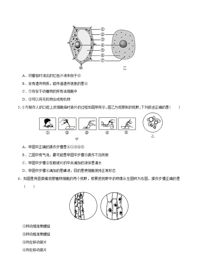 中考生物第二轮复习专题练习专题01 生物体的结构层次（测试）（原卷版）第2页