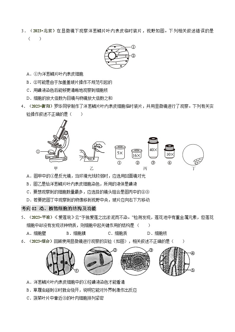 中考生物第二轮复习专题练习专题01 生物体的结构层次（讲练）（原卷版）第3页