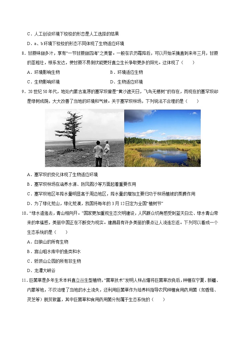 中考生物第二轮复习专题练习专题03 生物与环境（测试）（原卷版）第3页