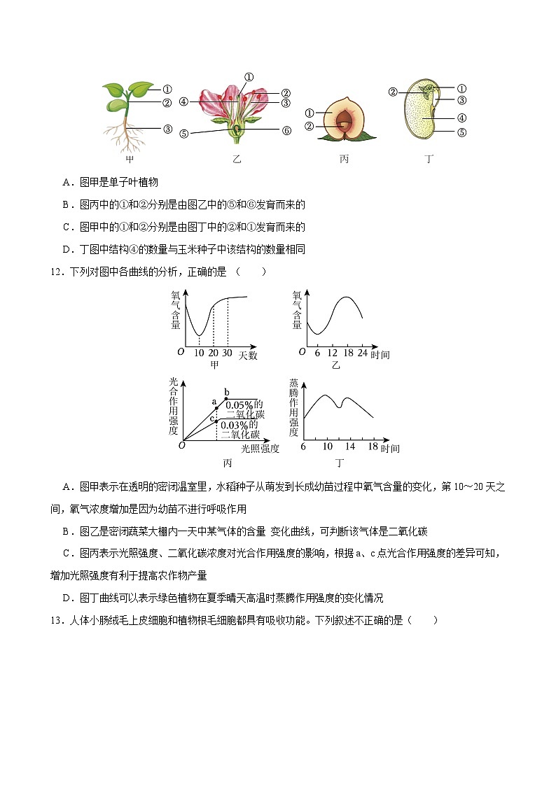 中考生物第二轮复习专题练习专题04 植物的生活（测试）（原卷版）第3页