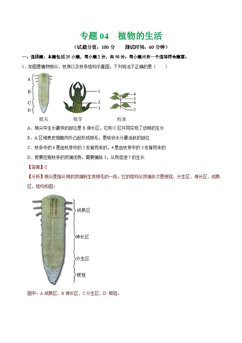 中考生物第二轮复习专题练习专题04 植物的生活（测试）（解析版）第1页