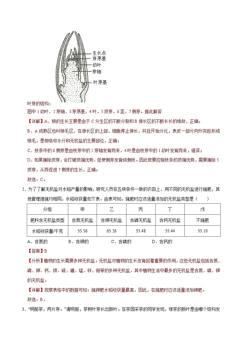 中考生物第二轮复习专题练习专题04 植物的生活（测试）（解析版）第2页