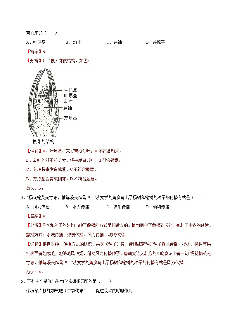 中考生物第二轮复习专题练习专题04 植物的生活（测试）（解析版）第3页