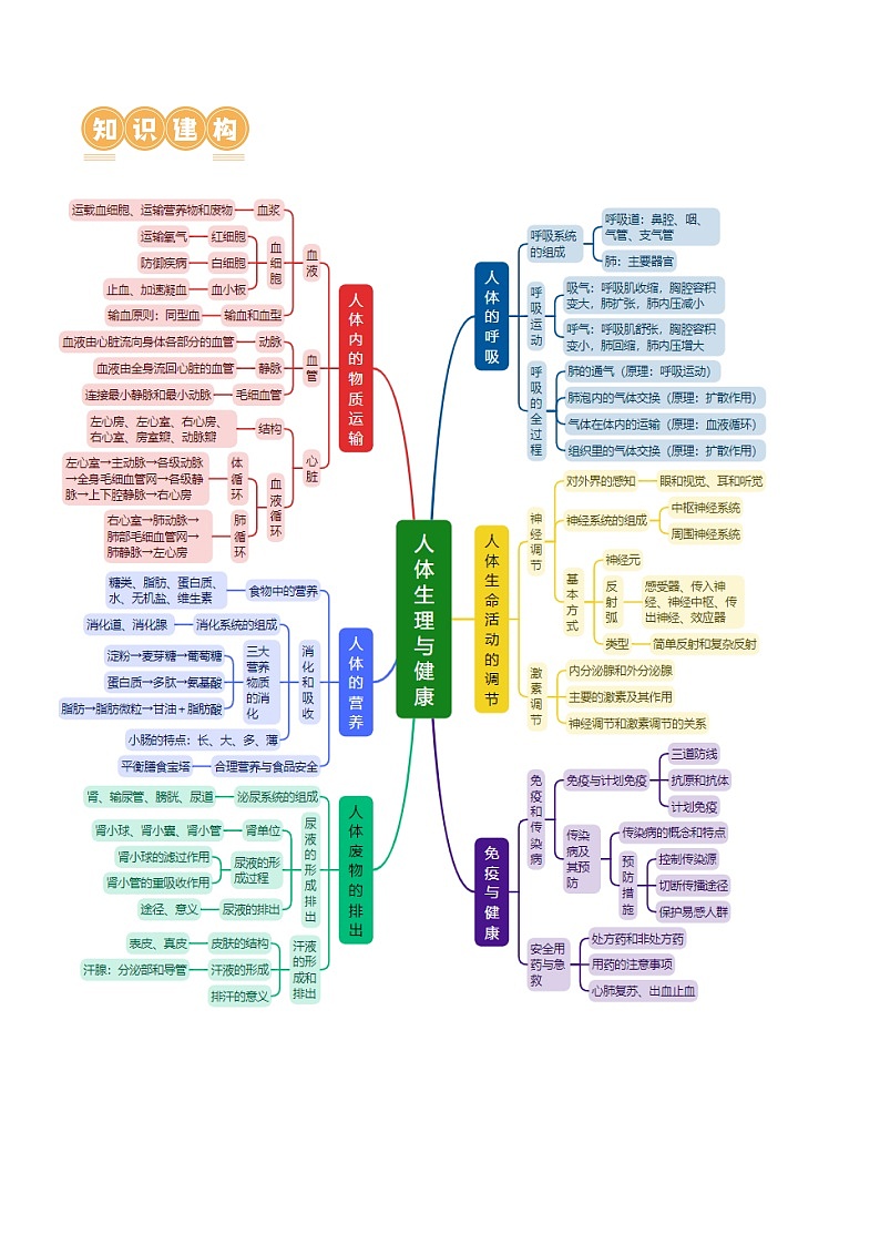中考生物第二轮复习专题练习专题05 人体生理与健康（讲练）（解析版）第2页