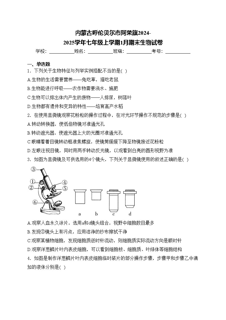 内蒙古呼伦贝尔市阿荣旗2024-2025学年七年级上学期1月期末生物试卷(含答案)第1页