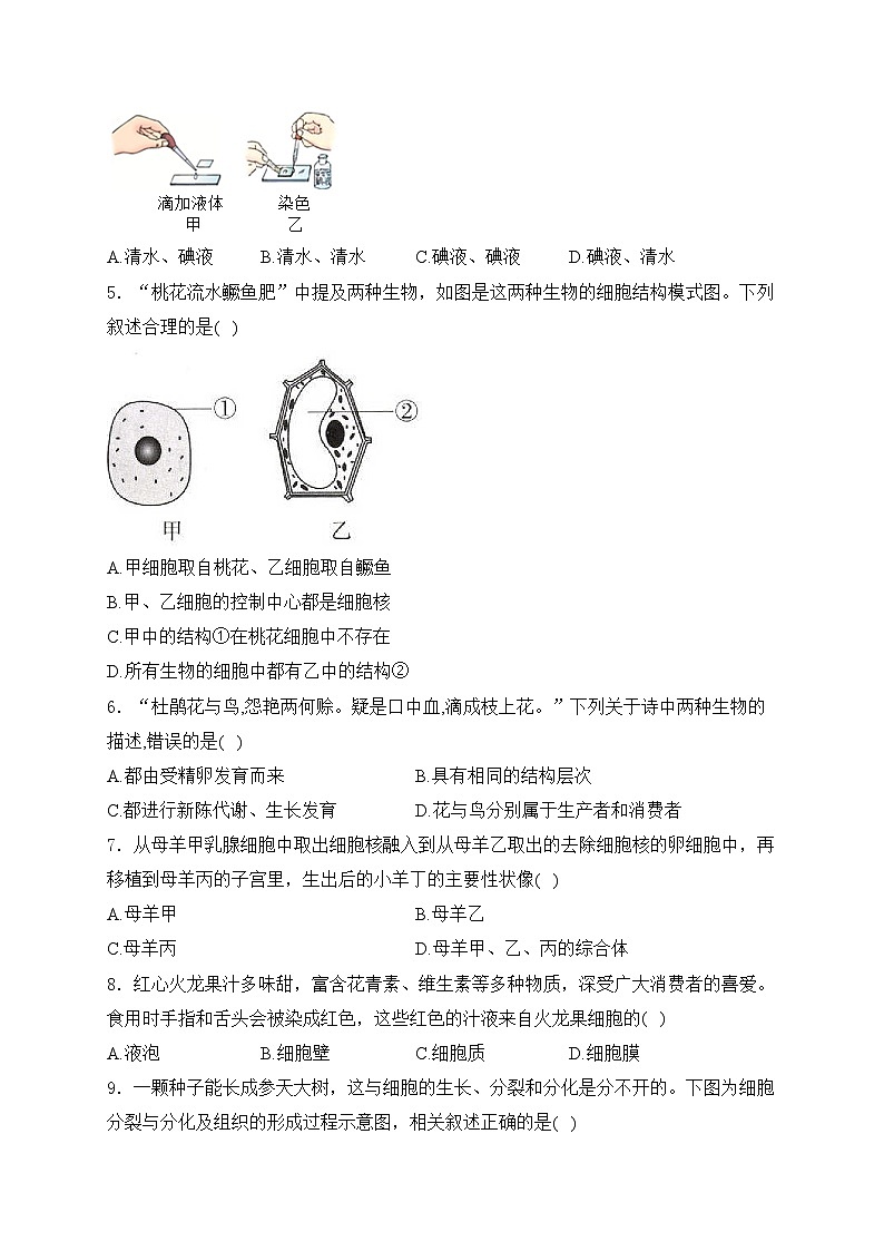 内蒙古呼伦贝尔市阿荣旗2024-2025学年七年级上学期1月期末生物试卷(含答案)第2页