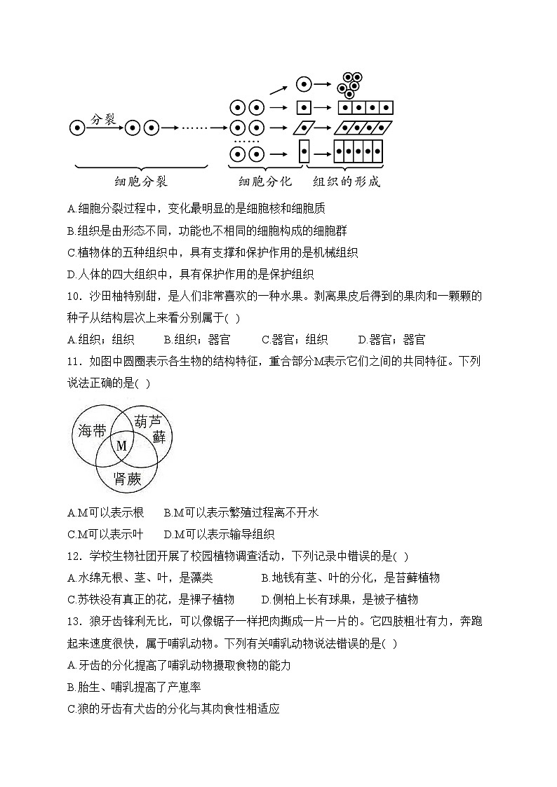 内蒙古呼伦贝尔市阿荣旗2024-2025学年七年级上学期1月期末生物试卷(含答案)第3页
