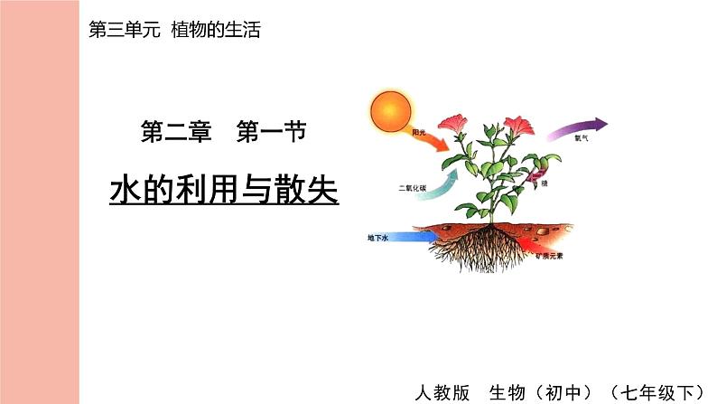 人教版（2024）生物七年级下册--3.2.1 水的利用与散失（课件）第1页