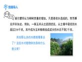 人教版（2024）生物七年级下册--3.2.1 水的利用与散失（课件）